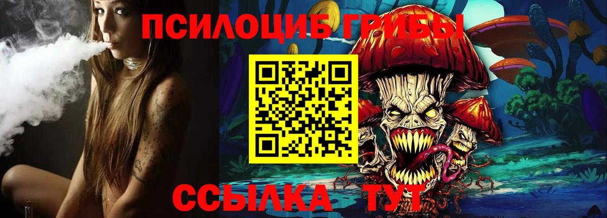 Псилоцибиновые грибы мицелий  Вход с VPN  Светлоград 